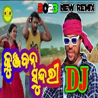 Kunjabana Sundari -New Year Trance Mix -Dj Narayan